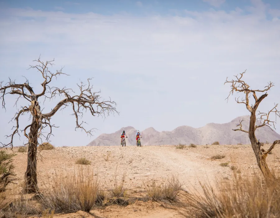 Two people cycling down sandy path