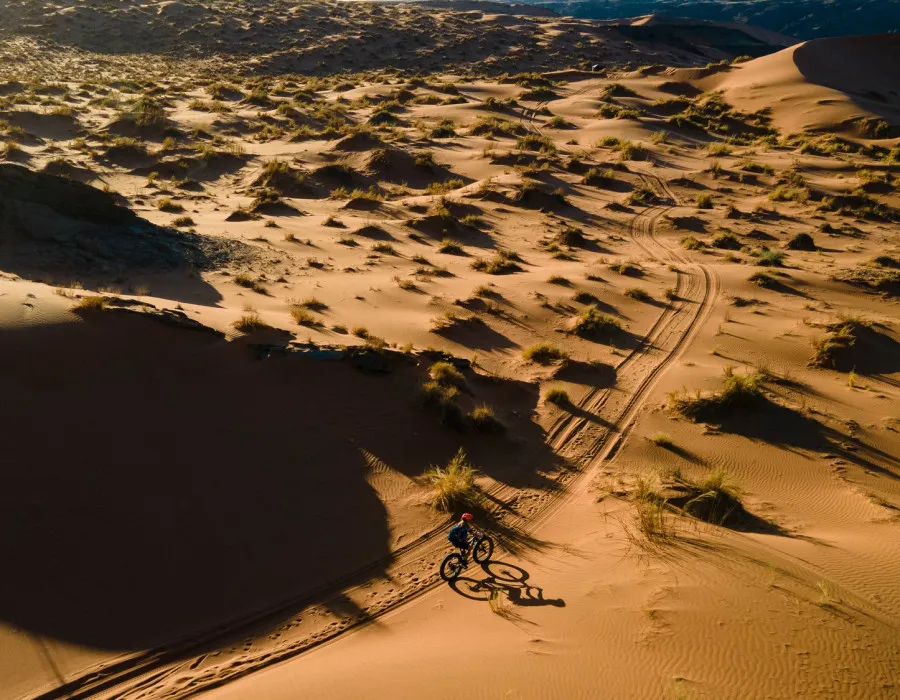 Cyclist riding over sandy and grassy path