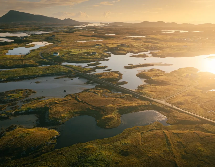Road through greenery and patches of water