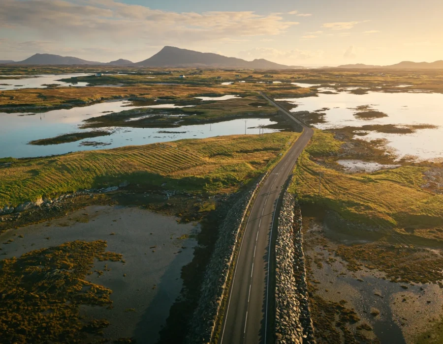 Road through greenery and patches of water