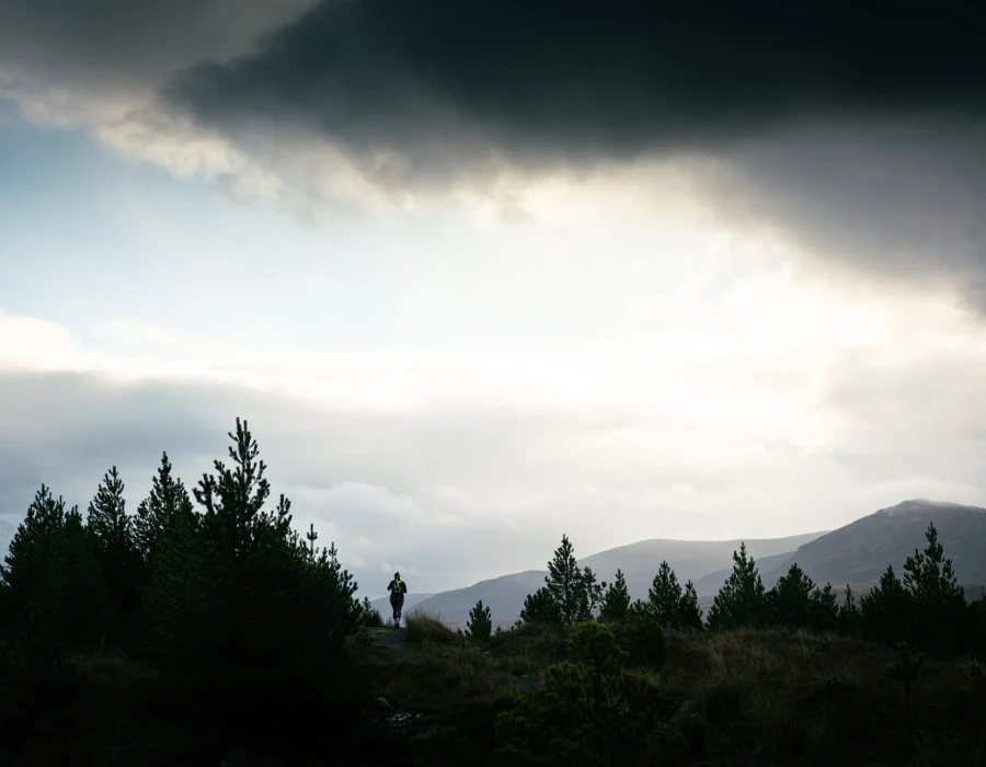 Person walking through trees