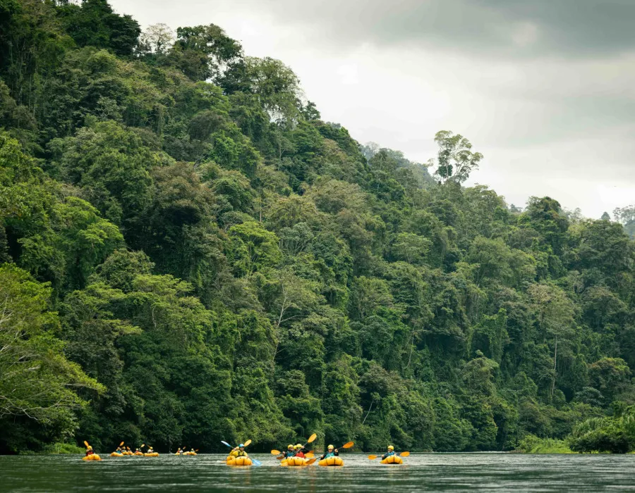 Panama C2C_9