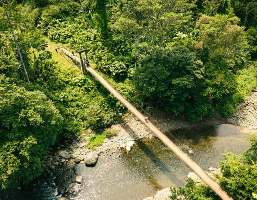 Panama C2C_16