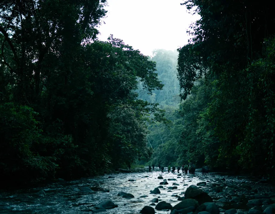 Panama C2C_24