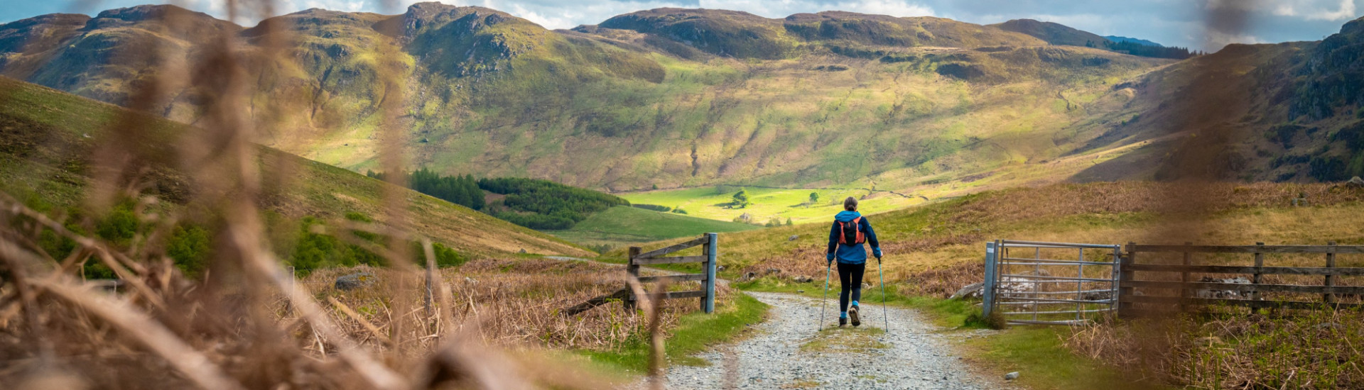 Person walking along path