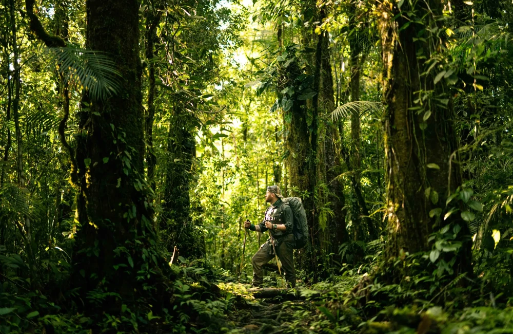Man standing and holding trekking poles in dense jungle