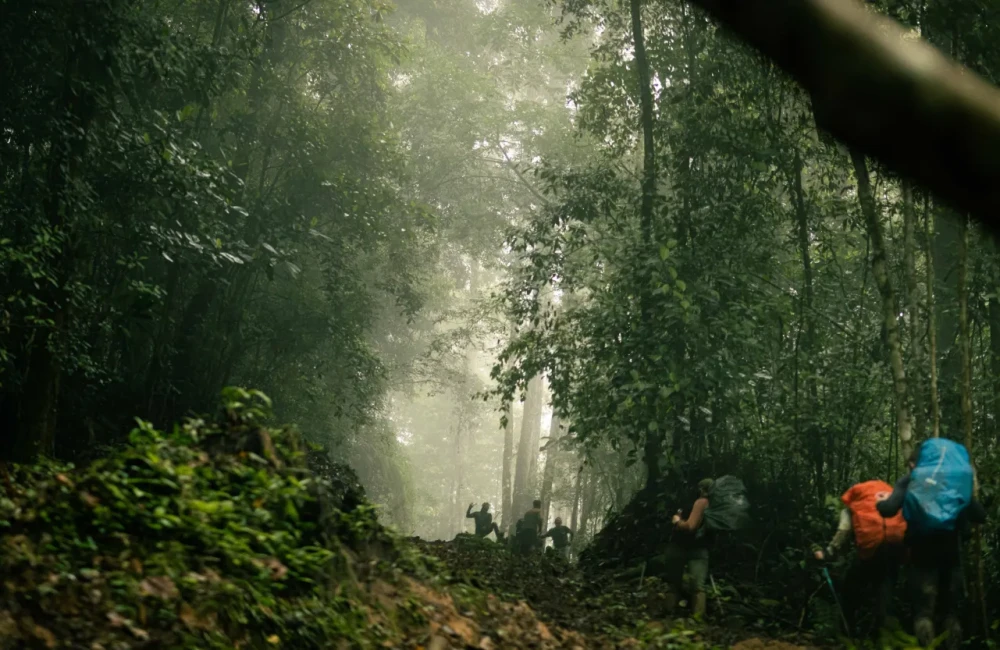 Participants trekking through dense jungle