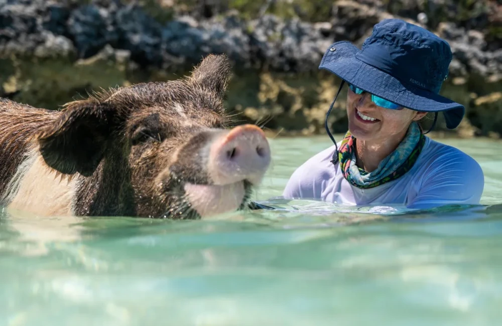 Woman smiling at a swimming pig in clear water