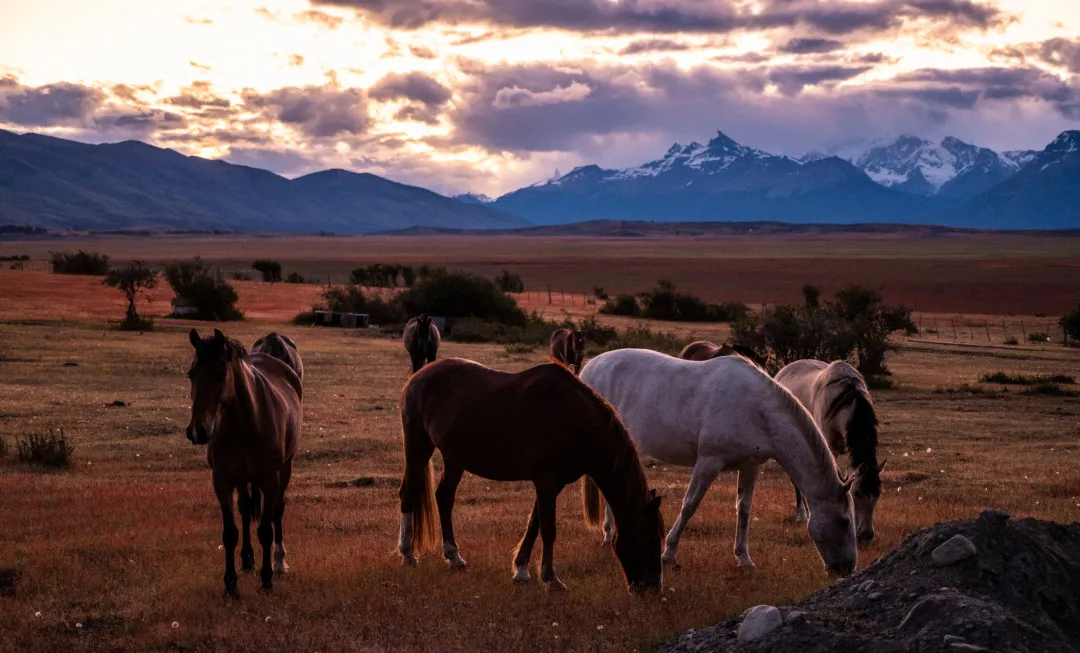 Patagonia_8