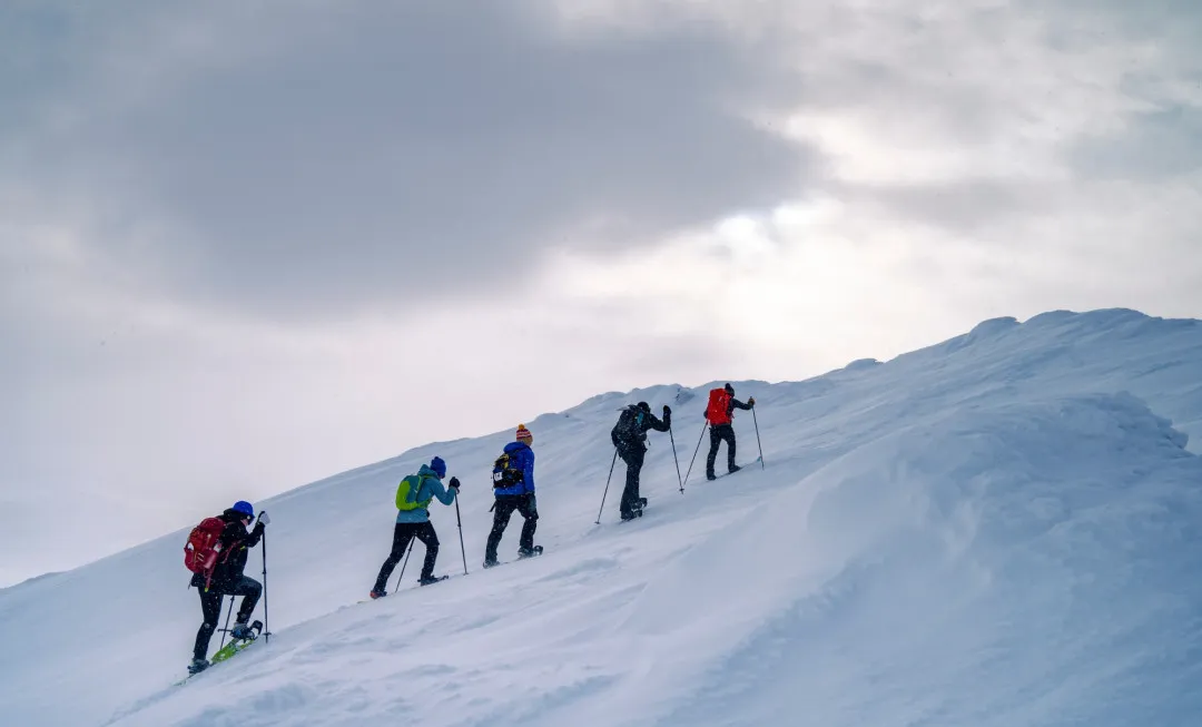 Five event participants in colourful clothing walking up a snowy hill using walking poles