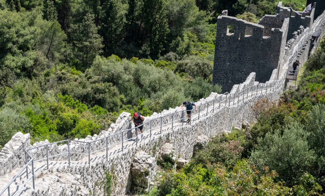 Men walking up the Walls of Ston, with lush greenery either side
