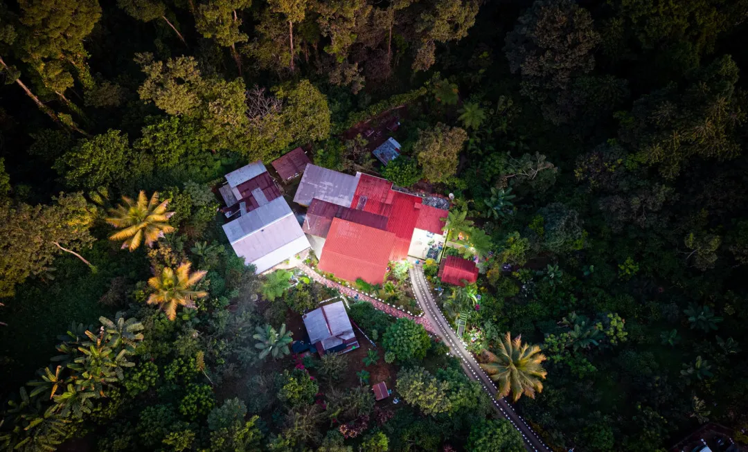 Aerial view of houses in a tropical jungle