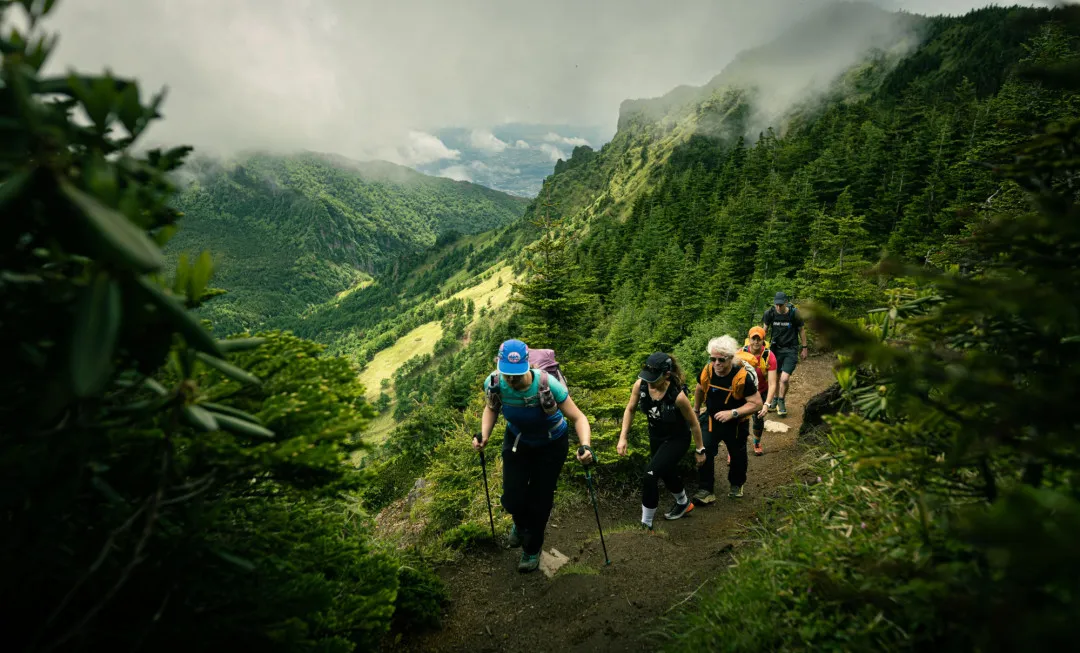 Participants hiking through forest