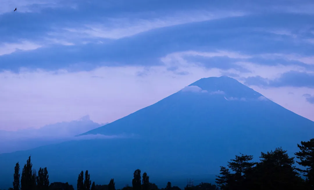 Trees below a mountain reaching through the clouds