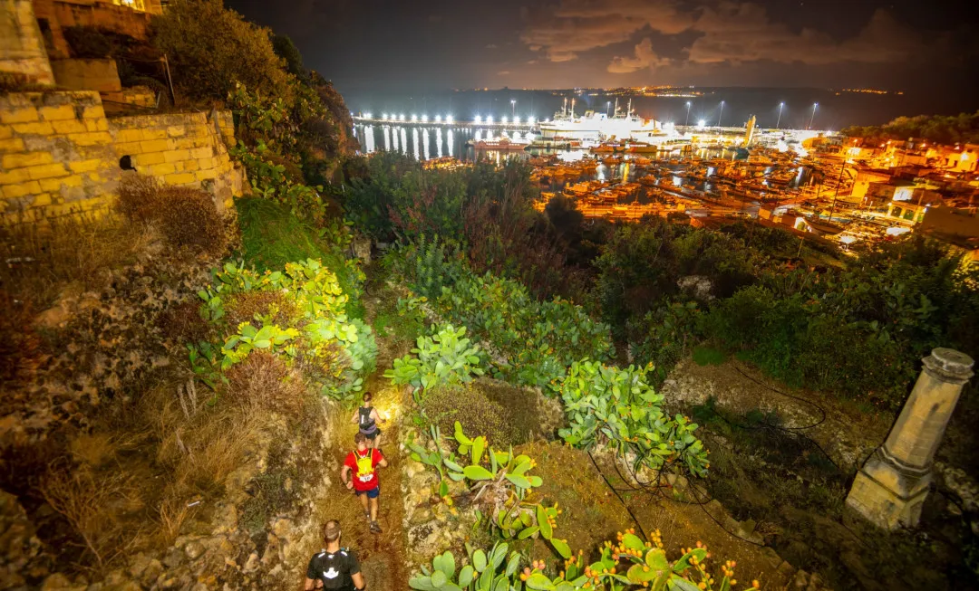 Aerial view view of participants making their way through greenery at night with a lit-up harbour in the background