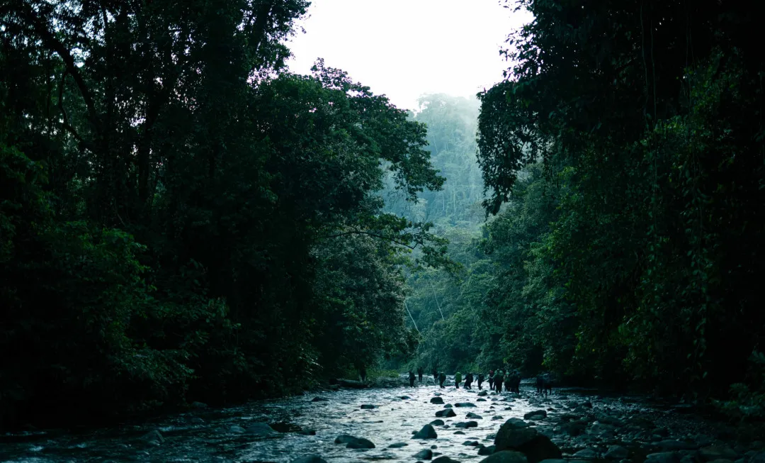 Panama C2C_24