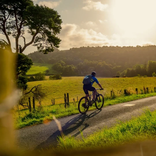 Cyclist riding on sunlit road