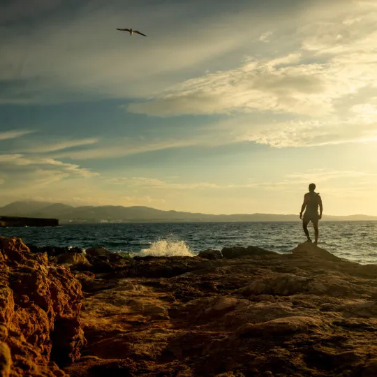 A single event participant stands on a copper, jagged rock and looks out to the blue sea and bright sky as a bird flies over