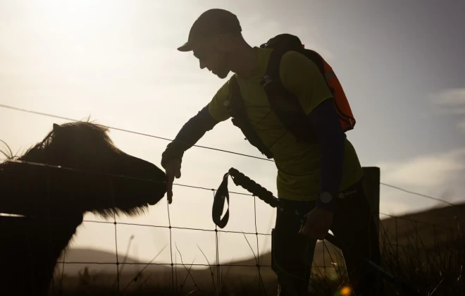 Man stroking pony