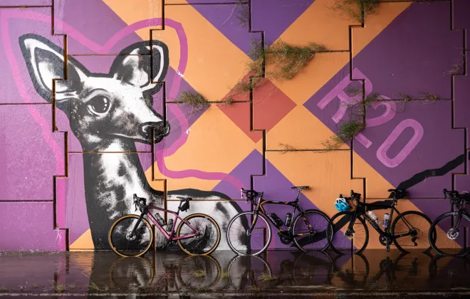 Picture of animal on wall and bikes stood against it