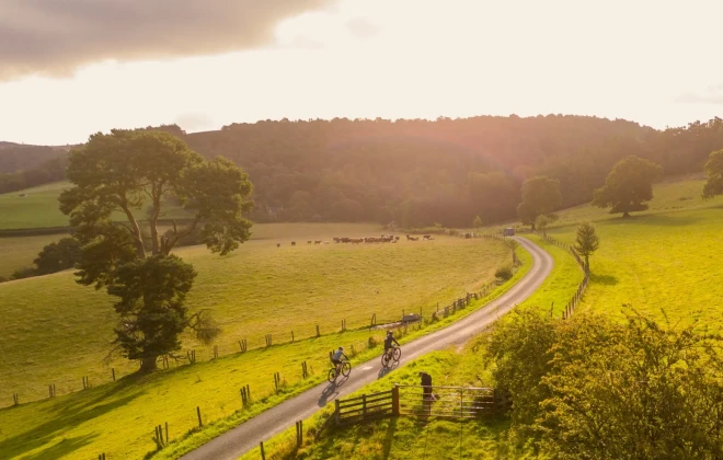 Cyclists riding along sunlit road