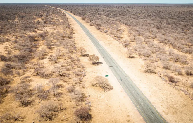 Road through desert and sparse trees