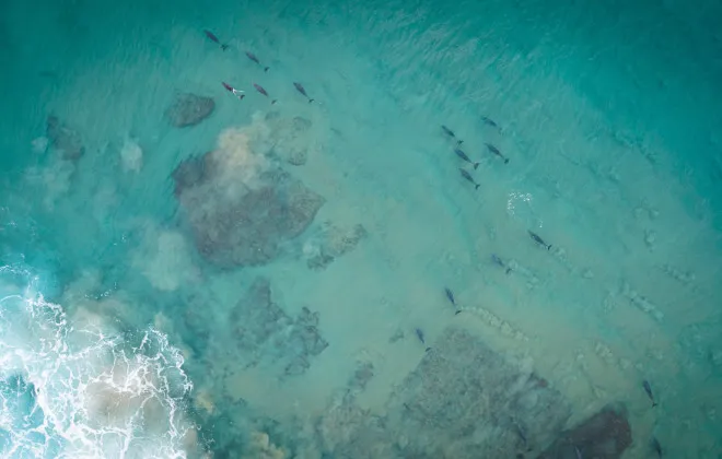 Aerial view of clear, blue water