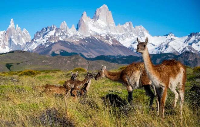 Patagonia_12