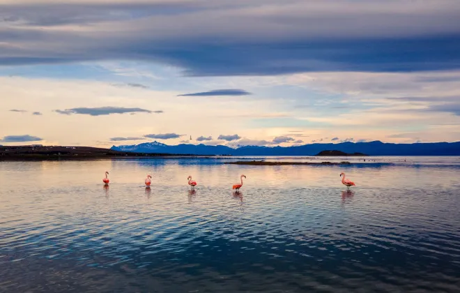 Patagonia_14