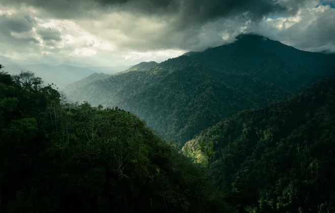 Dense mountainous jungle with grey sky above