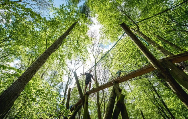 Man walking over a plank of wood, with netting either side