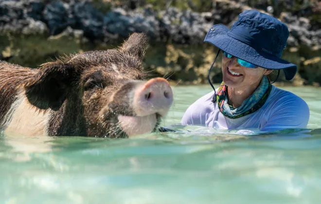 Woman smiling at a swimming pig in clear water