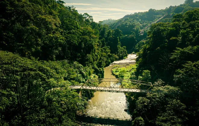 Bridge crossing a muddy river with jungle either side