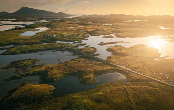 Road through greenery and patches of water